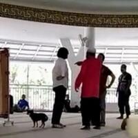 wanita-pembawa-anjing-dalam-masjid-tertangkap-ini-identitasnya