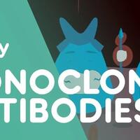 antibodi-monoklonal--senjata-modern-dalam-mengobati-kanker