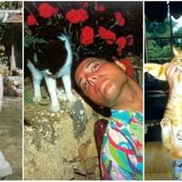freddie-mercury-dan-romantismenya-dengan-kucing