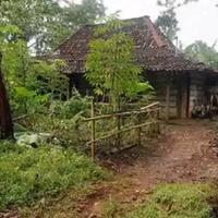 kampung-pitu-hanya-boleh-dihuni-7-kepala-keluarga-jika-lebih-maka