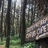 cipeuteuy-alternatif-camping-seru-bersama-keluarga