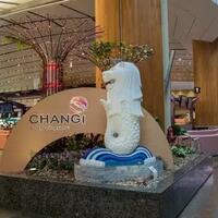 bandara-changi-singapura-bisa-bikin-kamu-mau-balik-lagi