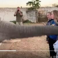viral-turis-ditampar-gajah-sampai-mental-lucu-gan