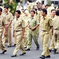 menjadi-pns-antara-sebuah-impian-dan-kinerja