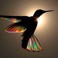 keindahan-tersembunyi-dibalik-cepatnya-burung-kolibri