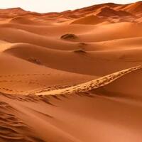 gurun-sahara-dulu-kaya-air-dan-dihuni-hewan-raksasa