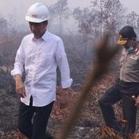 ma-vonis-jokowi-melawan-hukum-di-kasus-kebakaran-hutan