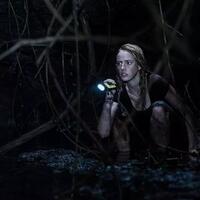 seberapa-menakutkan-dan-menyeramkan-film-crawl