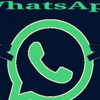 pengaturan-yang-wajib-di-ubah-pada-whatsapp-agar-akun-kamu-lebih-amanperlu-di-coba