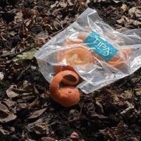 ini-dia-7-alternatif-pengganti-plastik-yang-sedang-hot-2019
