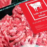 2023-daging-sapi-akan-digantikan-dengan-lab-grown-meat
