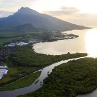 destinasi-wisata-kampung-blekok--surga-para-burung