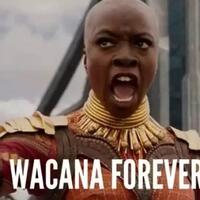 dibalik-fenomena-wacana-forever