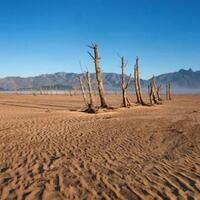 8-kota-mati-paling-menyeramkan-di-dunia-ada-di-indonesia