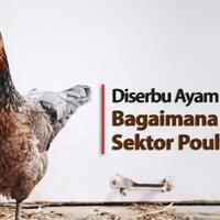 pasokan-barang-berlebih-harga-jadi-murah-ternyata-itu-hanya-mitos