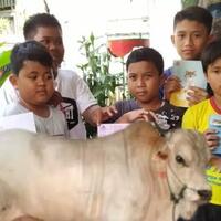 viral-7-bocah-patungan-buat-berkurban-agan-gimana