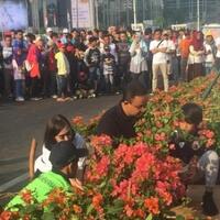 anies-tanam-bugenvil-untuk-atasi-polusi-ampuhkah