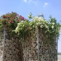 murah-dan-lebih-kuat-dari-getah-getih-gabion-telan-anggaran-rp-150-juta