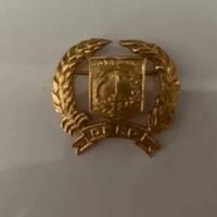 tepis-dprd-dki-kemendagri-pin-emas-tak-pernah-diatur-permendagri