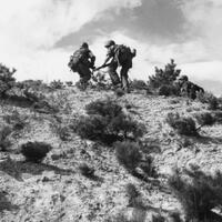 before-war-in-2019-action