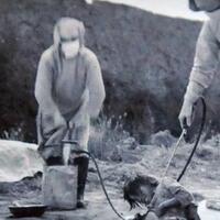 kekejaman-unit-731-dan-kemunafikan-pemerintah-as-di-akhir-perang-dunia-ii