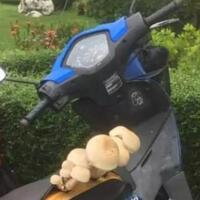 viral-jok-motor-tumbuh-jamur-diduga-karena-pemiliknya-jomlo-benarkah-alasannya
