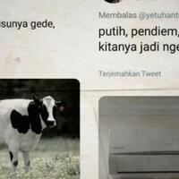 bikin-ngakak-ini-7-plesetan-ala-warga-twitter-soal-tipe-wanita-idaman-pria