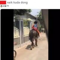 viral-video-quotpenampakanquot-2-bocah-sd-boncengan-naik-kuda-ke-sekolah