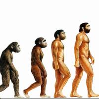 teori-evolusi-tidak-pernah-mengatakan-manusia-adalah-keturunan-kera