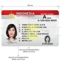 sim-smart-untuk-apa--lalu-apa-fungsi-sim-sebenarnya