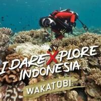 berani-mengxplore-keindahan-indonesia-di-wakatobi