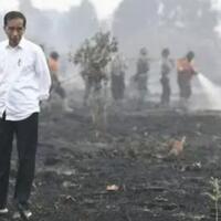 greenpeace-paru-paru-warga-lebih-kotor-daripada-sepatu-jokowi
