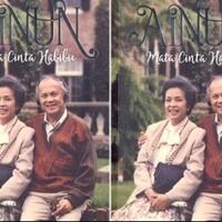 belajar-dari-sikap-romantis-eyang-habibie