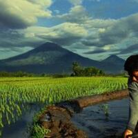 hidup-di-desa-kerja-onlin-di-cap-warga-sebagai-orang-pemalas