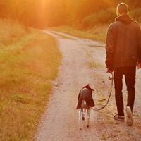 kenapa-sih-anjing-suka-banget-ngikutin-kita-ke-mana-mana