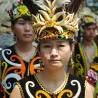 di-balik-permintaan-lahan-5-hektare-suku-dayak-di-ibu-kota-baru