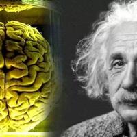 otak-pembuat-bom-nuklir-berakhir-dengan-potongan-potongan