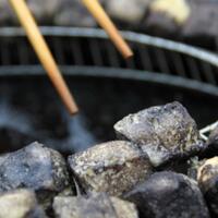 5-makanan-terbau-yang-ada-di-berbagai-belahan-dunia