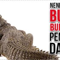 baru-ilmuwan-membuktikan-ternyata-buaya-purba-mengkonsumi-makanan-ini