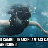snorkeling-sambil-transplantasi-terumbu-karang-di-pantai-bangsring