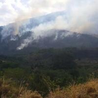 gunung-ciremai-kembali-terbakar-75-hektare-lahan-hutan-dilalap-api