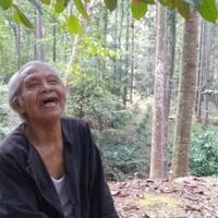kisah-suhendri-kakek-78-tahun-menolak-rp-10-miliar-demi-jaga-hutan