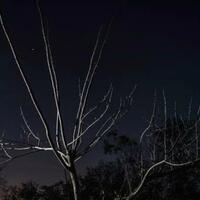 rediscovering-memories