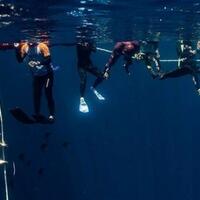 kompetisi-sabang-freediving-internasional-diramaikan-40-atlet-dari-17-negara
