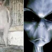 bayi-burung-hantu-ini-sempat-membuat-heboh-netizen-sekilas-terlihat-seperti-alien