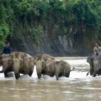 amazing-ternyata-indonesia-memiliki-54-taman-nasional