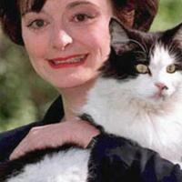 cekidot-gansis-para-kucing-badass-dari-seluruh-dunia-dan-cerita-luar-biasa-mereka