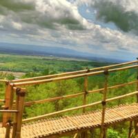 4-hal-yang-akan-membuat-agan-tertarik-untuk-berkunjung-ke-kemit-forest-penasaran