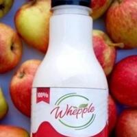 whepple-drink-produk-pangan-inspirasi-hidup-sehat