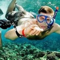 nggak-kalah-dengan-bali--lombok-ini-dia-4-spot-snorkeling-keren-di-jogja